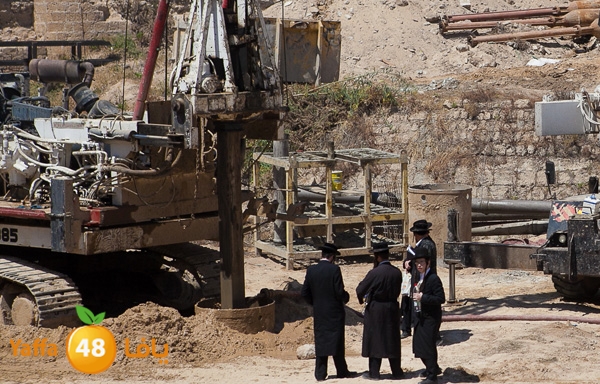 haradeem france hos 629 (35).jpg